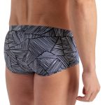 Men's Overview Low Waist Swim Shorts