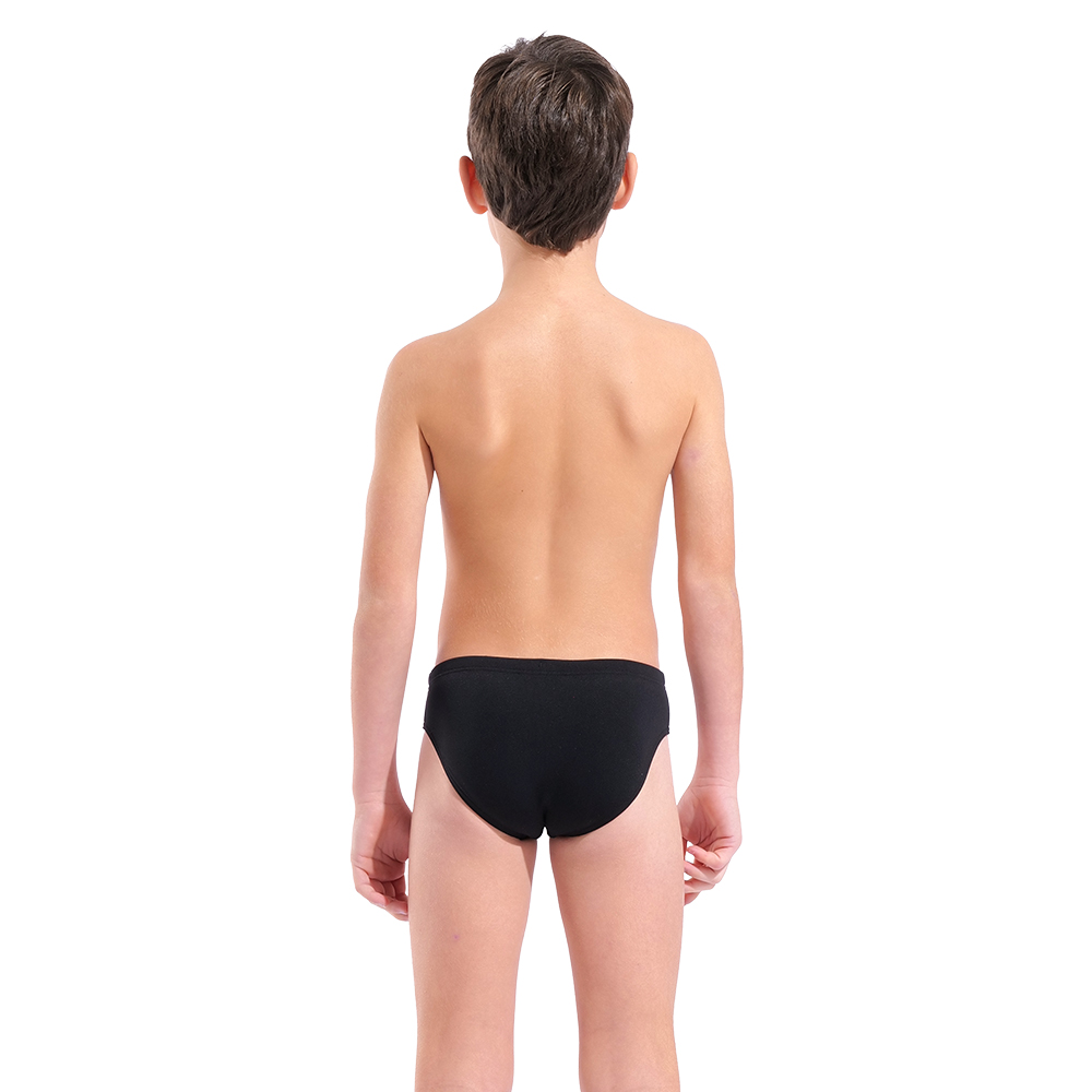 011815-503-B ARENA BOLD SWIM BRIEFS-002