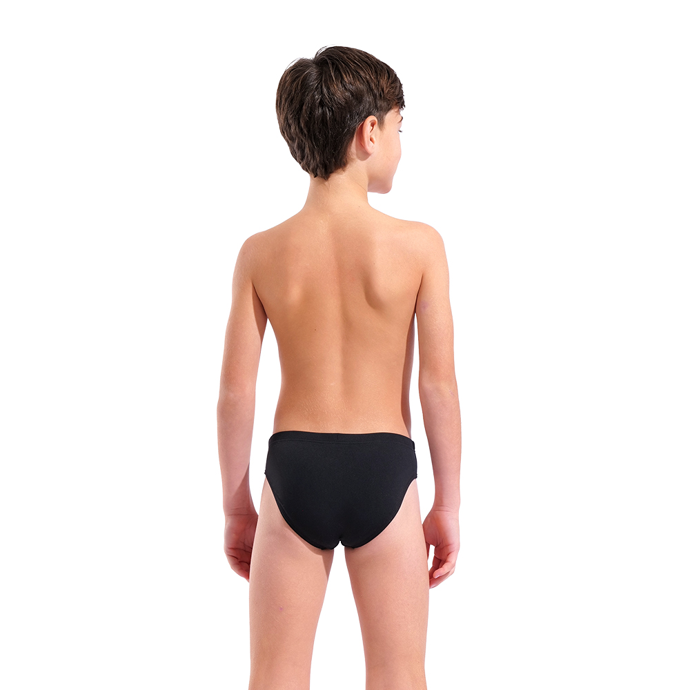 011815-508-B ARENA BOLD SWIM BRIEFS-002