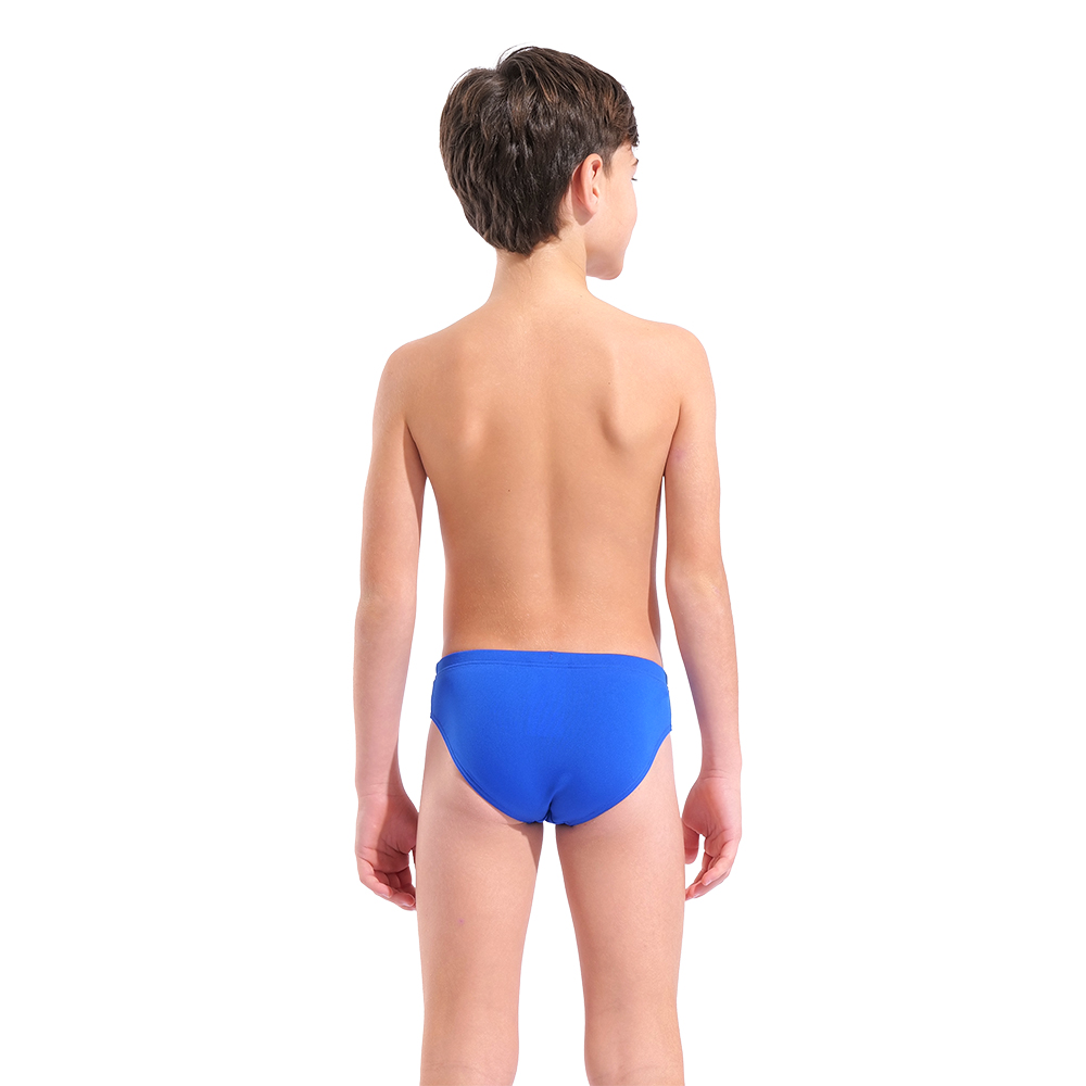 011815-803-B ARENA BOLD SWIM BRIEFS-002